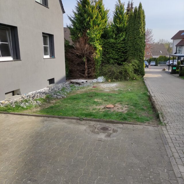 1000007894 - Kopie